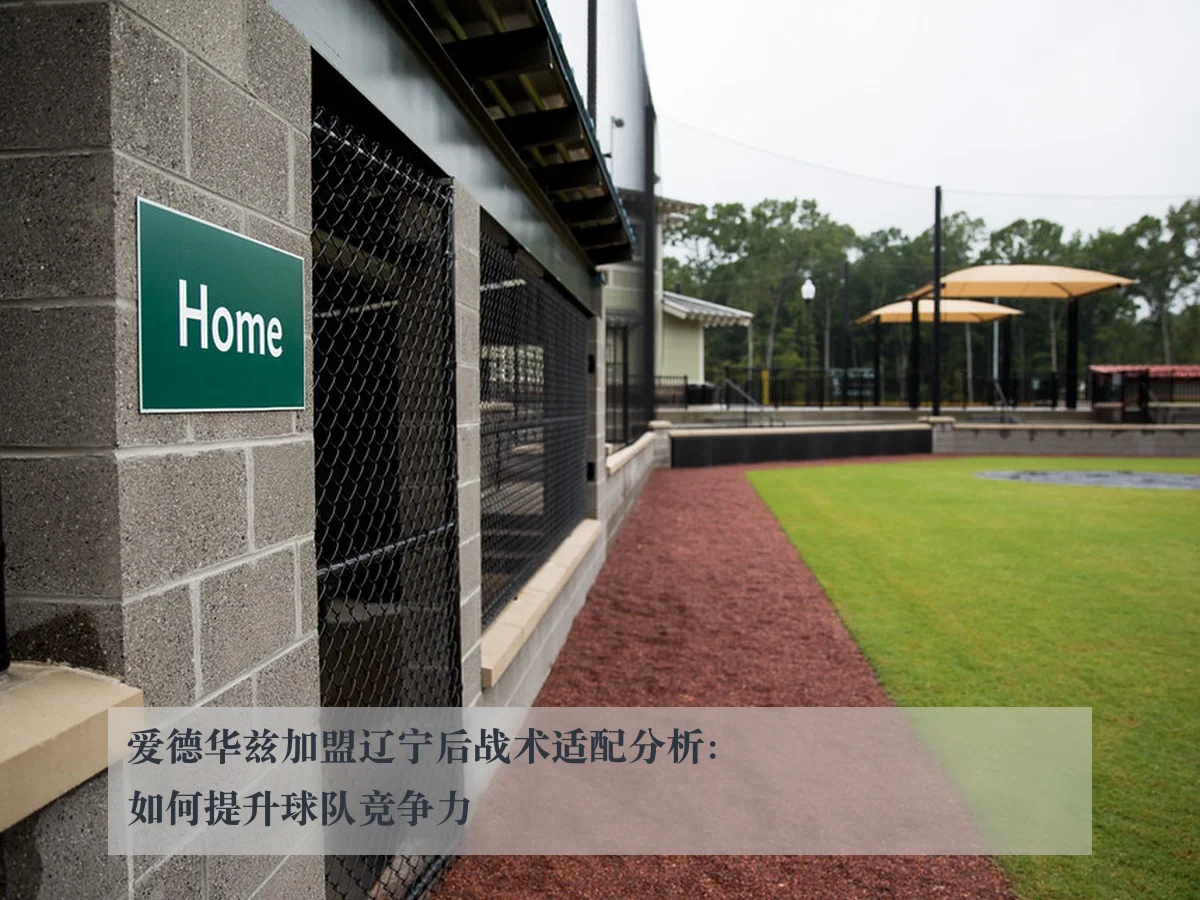 爱德华兹加盟辽宁后战术适配分析：如何提升球队竞争力